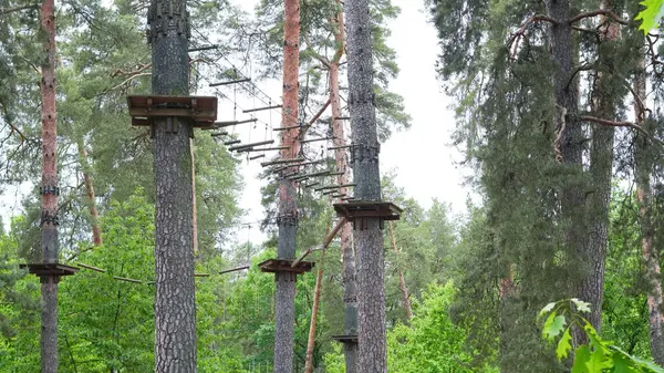 Çam ormanlarındaki boş halat parkı çocukların açık hava aktiviteleri için tasarlandı..