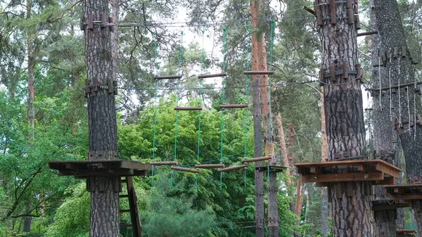Huzurlu çam ormanına kurulmuş boş çocuk halat parkı..