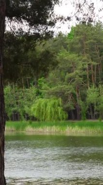 Huzurlu orman gölü piknik noktaları ve balık tutma olanakları var.