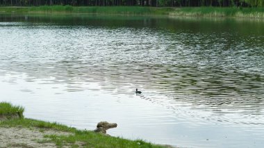 Etrafta orman ve yaz ziyaretçileri için açık piknik alanları olan sakin bir göl..
