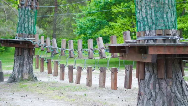 Çocuk halat macera parkı huzurlu çam ormanları..