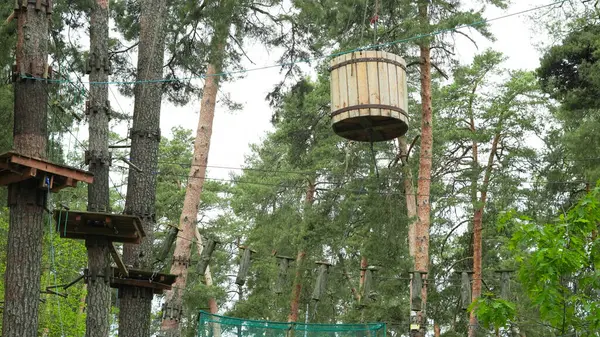 Huzurlu çam ormanına kurulmuş boş çocuk halat parkı..