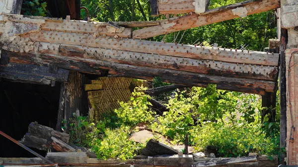 Ukrayna 'nın yıkık dökük çatısı ve yıkık duvarları olan harabe evi..