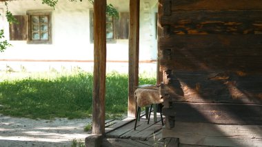 Çatı ve kil duvarlı geleneksel Ukrayna kır evi.