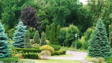 Süslü çalıları ve klasik sokak lambaları olan şık bir park sokağı.