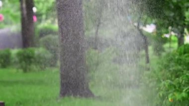   Kamu parkındaki yeşil çimleri sulama sistemi havadaki su spreyiyle suluyor. Şehir parkındaki taze yeşilliklerin üzerine çim püskürtücüler püskürtüyor.