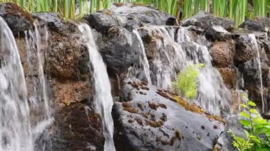 Su ve kayalarla dolu güçlü bir şelaleye yakın.