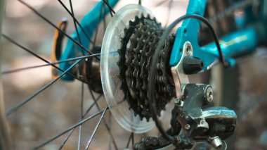 Bisiklet lastiği yapraklı orman yolunda sonbaharın başlarında bisiklet gezisi sırasında durur..