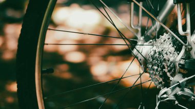 Orman ortamında doğal arka planı olan bir dağ bisikletinin tekerini kapatın..