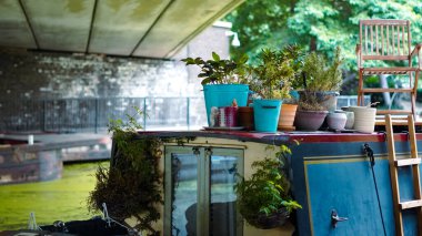 Huzurlu nehir yolculuğu sırasında turist teknesi dekore eden saksı bitkileri..