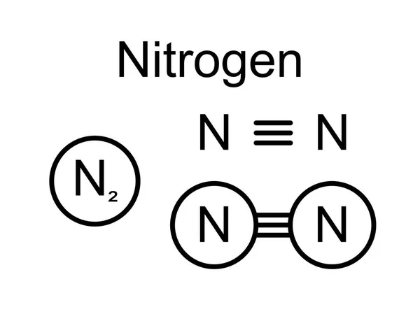 1つの三重結合ベクトルを持つ窒素N2化学分子の分子モデル図 周期表教育に適した窒素ガスの構造式 — ストックベクタ