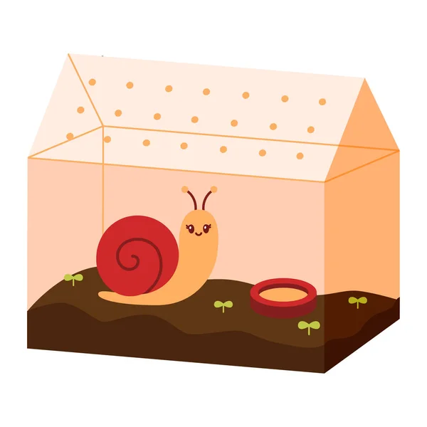 Χαριτωμένο Κατοικίδιο Σαλιγκάρι Μια Απεικόνιση Διάνυσμα Terrarium Οικιακός Κήπος Σαλιγκάρι — Διανυσματικό Αρχείο