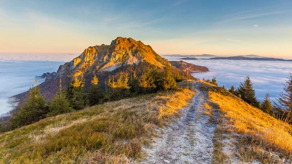 伟大的 Rozsutec 在斯洛伐克最美丽的山之一 — 图库照片