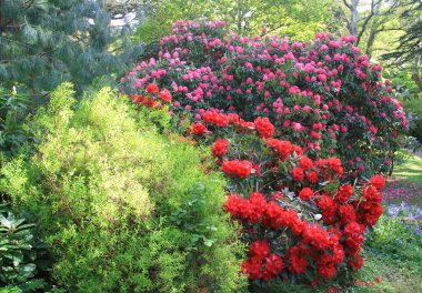 Powerscourt Estate - House & Gardens - one of the largest and most beautiful gardens in the world located in County Wicklow, 20 km south of the center of Dublin.