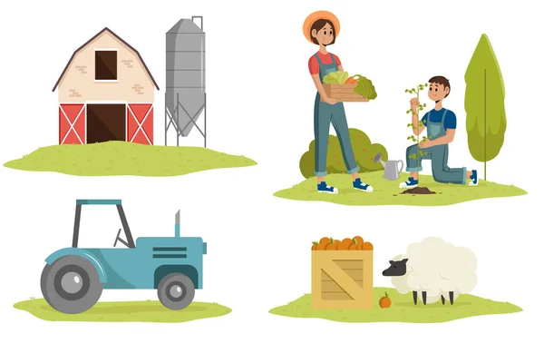 Projeto Agricultura Biológica Para Ilustração Ilustração Vetorial —  Vetores de Stock