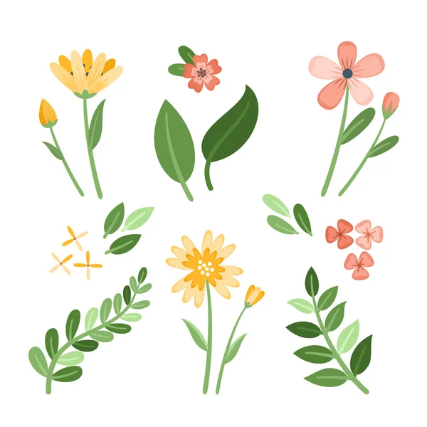 Különböző Virágok Levelek Lapos Design Gyűjtemény Vektor Illusztráció — Stock Vector