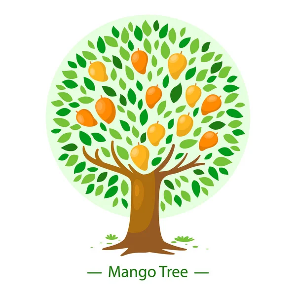 Árbol Mango Diseño Plano Ilustración Vectorial — Vector de stock