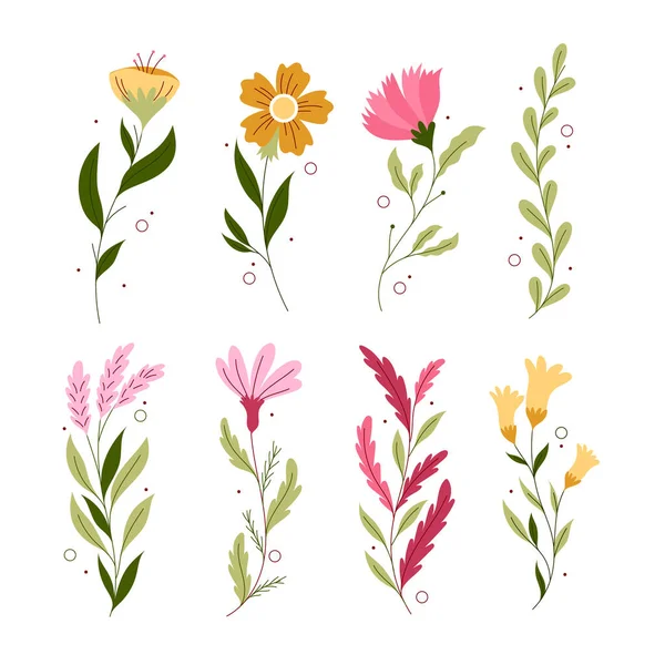 Kolekce Jarních Květin Vektorové Ilustrace — Stockový vektor
