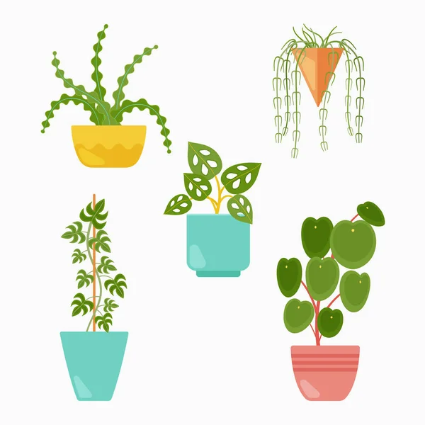 收集盆栽中美丽的家庭植物 — 图库矢量图片
