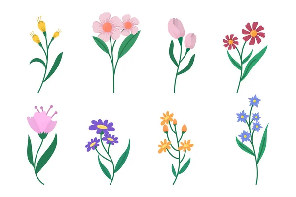 Organická Plochá Sbírka Květin Vektorové Ilustrace — Stockový vektor