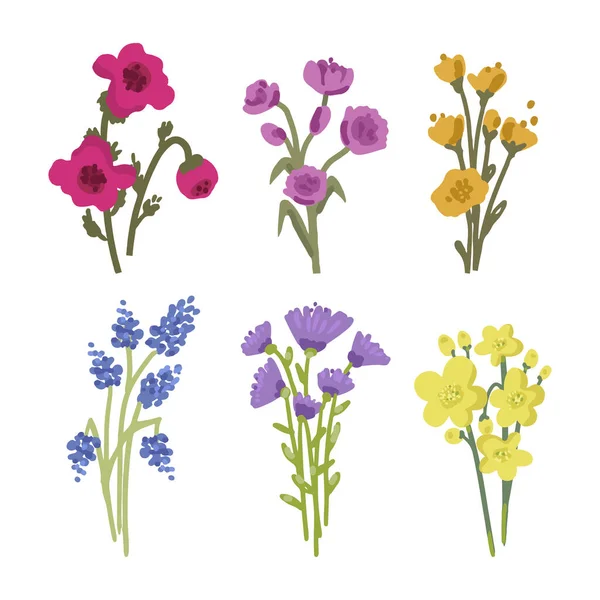 Колекція Квітів Ручної Роботи Векторні Ілюстрації — стоковий вектор