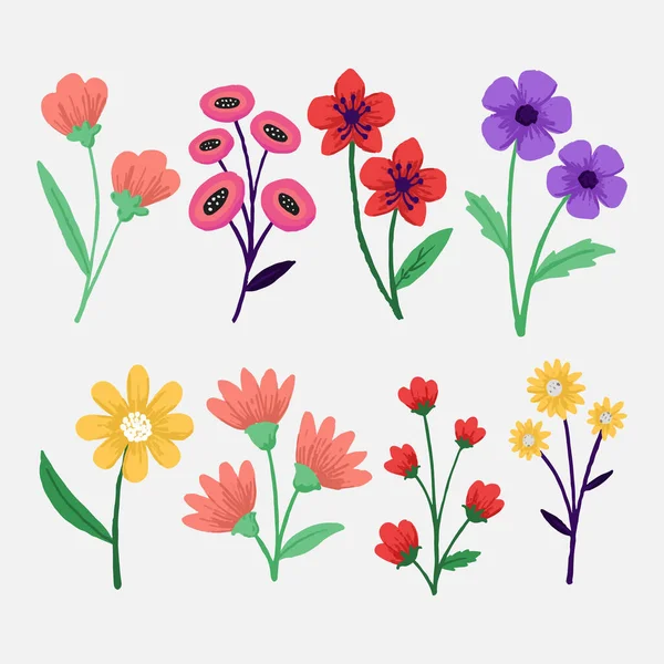 Hand Getrokken Mooie Bloemen Collectie Vector Illustratie — Stockvector