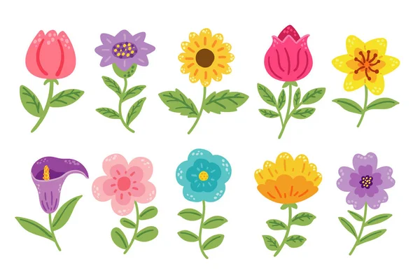 Ručně Kreslená Sbírka Květin Vektorové Ilustrace — Stockový vektor