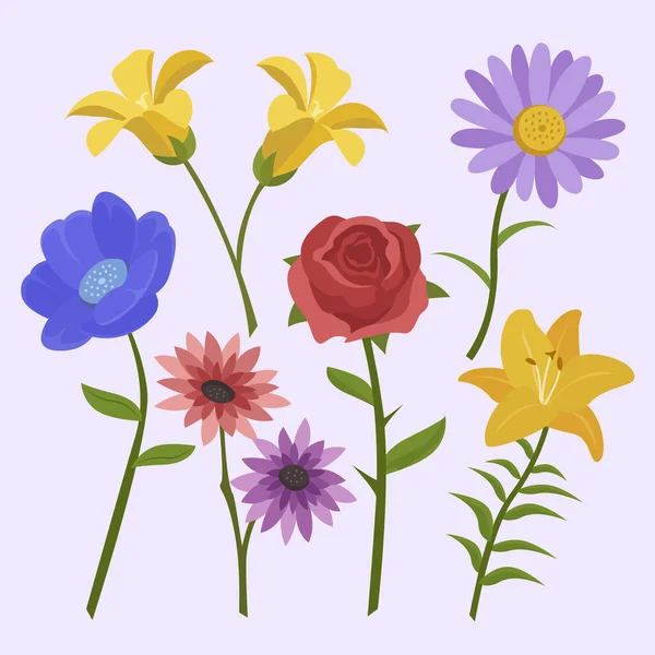 Sbírka Plochých Květin Vektorové Ilustrace — Stockový vektor