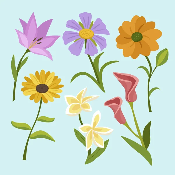 Sbírka Plochých Květin Vektorové Ilustrace — Stockový vektor