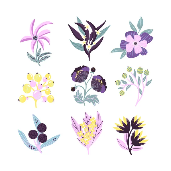 Handgezeichnete Blumen Sammlung Vector Illustration — Stockvektor