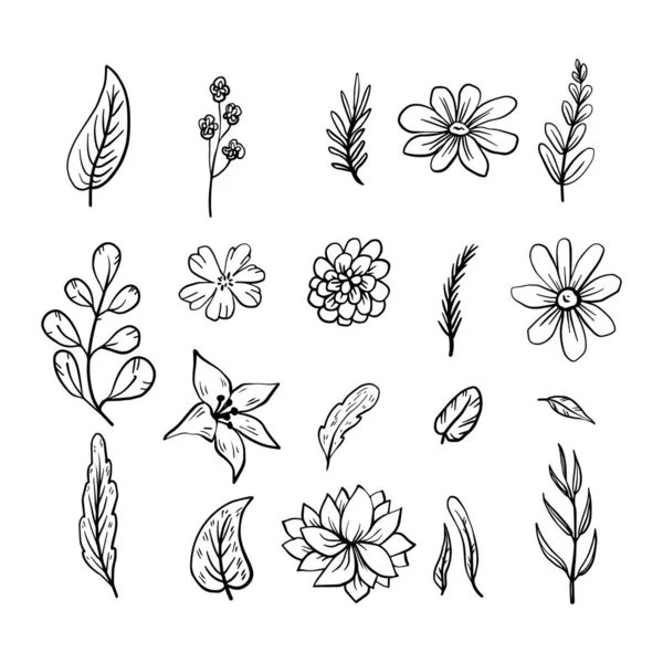 Sada Ručně Kreslené Květiny Vektorové Ilustrace — Stockový vektor