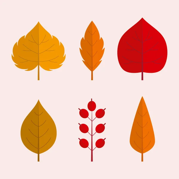 Flat Autumn Leaves Collection Vector Illustration — Stock Vector