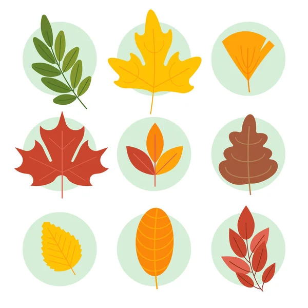 Herbst Blätter Sammlung Vektor Illustration — Stockvektor