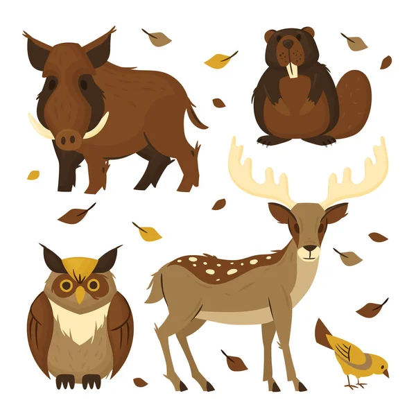 Ručně Kreslená Kolekce Podzimních Zvířat Vektorové Ilustrace — Stockový vektor
