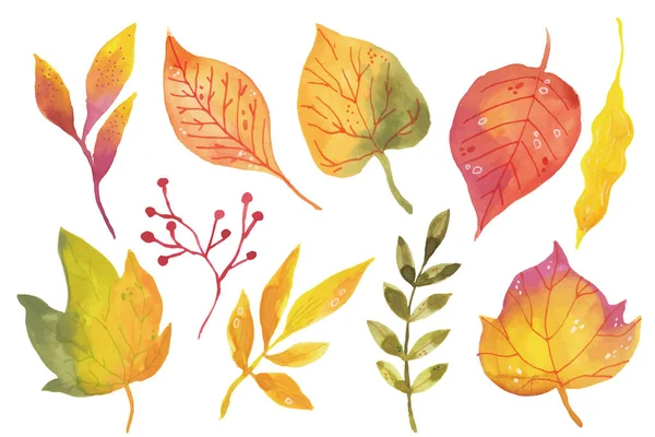 Aquarell Herbst Blätter Sammlung Vector Illustration — Stockvektor