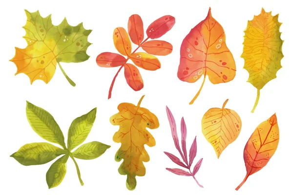 Watercolor Autumn Leaves Collection Vector Illustration — Stock Vector
