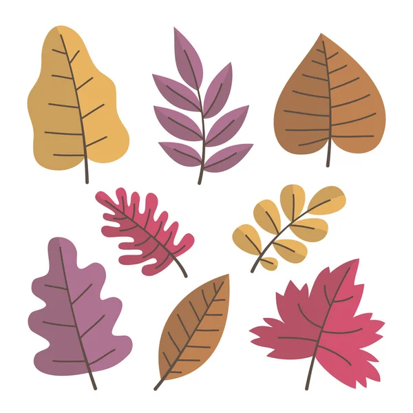 Herbstblätter Setzen Vektorillustration — Stockvektor