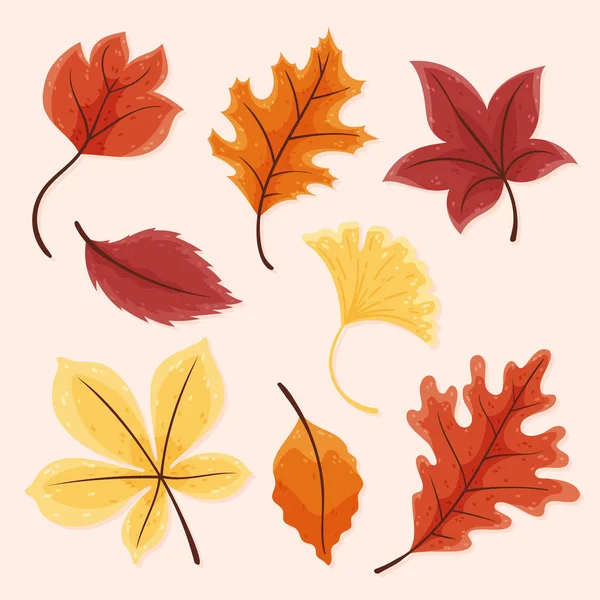 Folhas Outono Desenhadas Mão Conjunto Ilustração Vetorial — Vetor de Stock