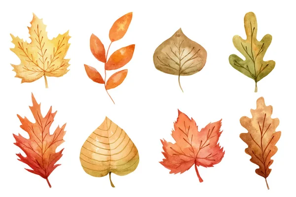 Watercolor Autumn Leaves Set Vector Illustration — Stock Vector