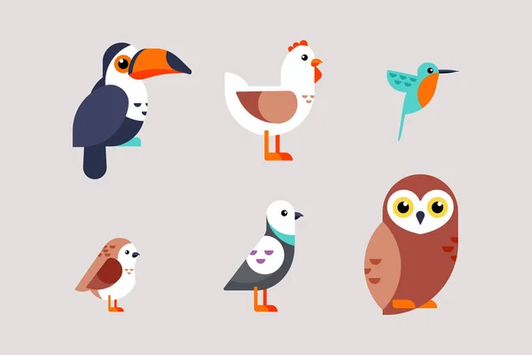 Coleção Aves Desenho Plano Ilustração Vetorial — Vetor de Stock