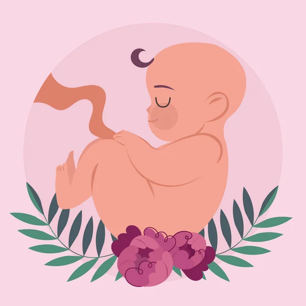 Χειροποίητη Απεικόνιση Του Εμβρύου Διάνυσμα — Διανυσματικό Αρχείο
