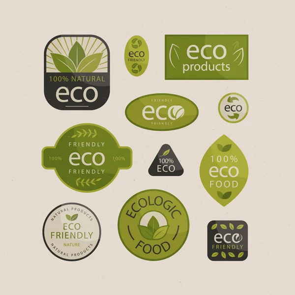 Ręcznie Rysowane Ekologiczne Etykiety Zestaw Ilustracja Wektora — Wektor stockowy
