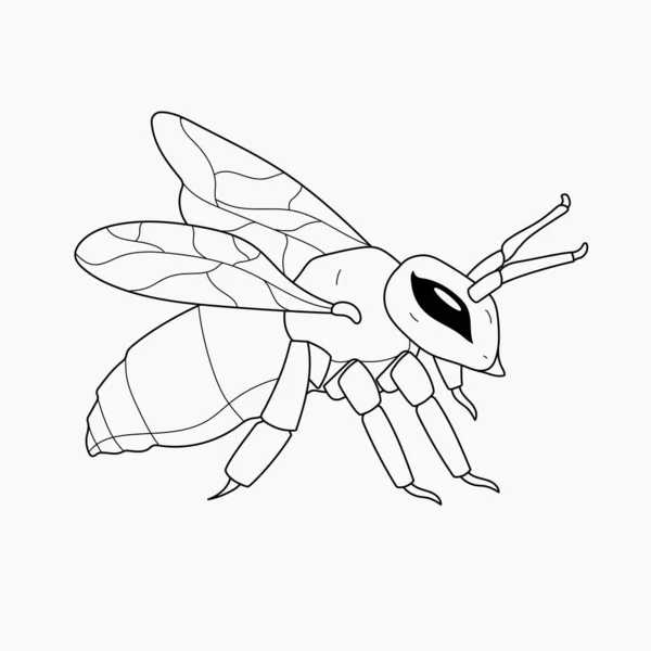 Ręcznie Rysowane Pszczoły Zarys Ilustracja Ilustracja Wektor — Wektor stockowy