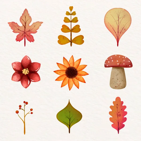 Watercolor Elements Set Autumn Celebration Vector Illustration — Vector de stock