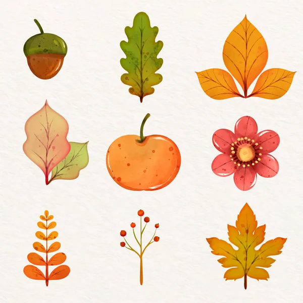 Watercolor Elements Set Autumn Celebration Vector Illustration — Stockový vektor