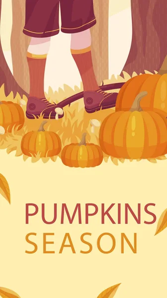 Flat Post Stories Set Autumn Celebration Vector Illustration — Stock Vector