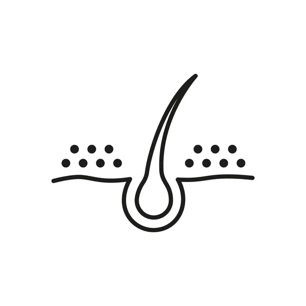 Волосся Лінія Дандрафф Icon Нездоровий Або Брудний Фольклор Викриває Ікона — стоковий вектор