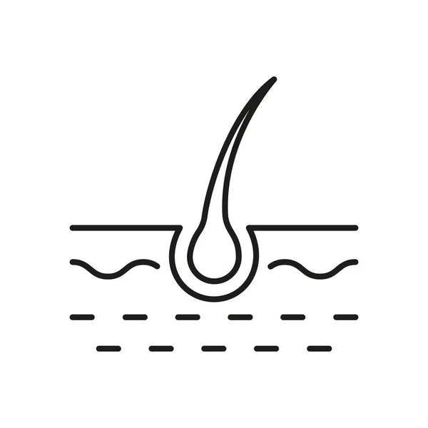 Ikona Linii Włosów Żarówki Struktura Człowieka Follicle Czarny Zarys Piktogram — Wektor stockowy
