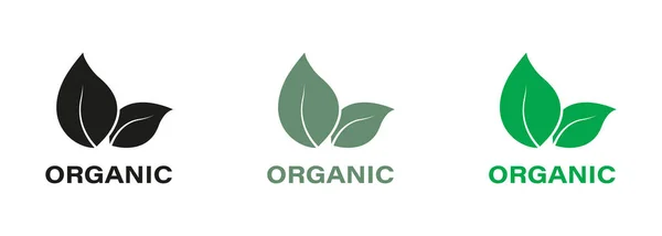 Set Iconos Verde Negro Producto Orgánico Natural Bio Healthy Eco — Vector de stock