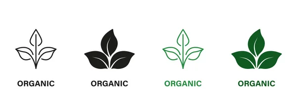 Set Iconos Verde Negro Producto Orgánico Natural Bio Healthy Eco — Vector de stock